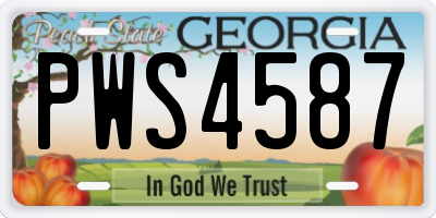 GA license plate PWS4587