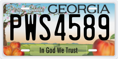 GA license plate PWS4589