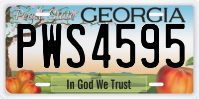 GA license plate PWS4595