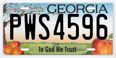 GA license plate PWS4596