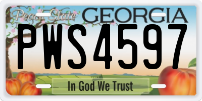 GA license plate PWS4597