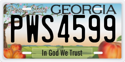 GA license plate PWS4599
