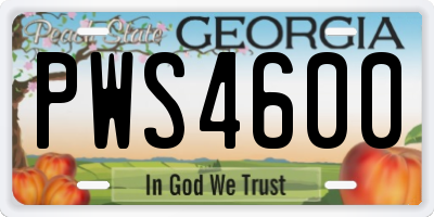 GA license plate PWS4600