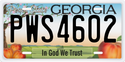 GA license plate PWS4602
