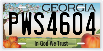GA license plate PWS4604