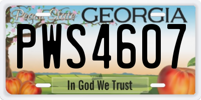 GA license plate PWS4607