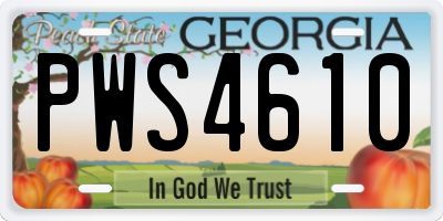 GA license plate PWS4610