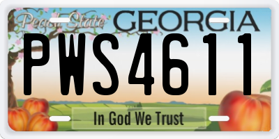 GA license plate PWS4611