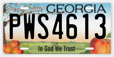 GA license plate PWS4613