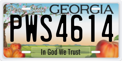 GA license plate PWS4614