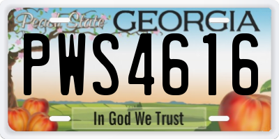 GA license plate PWS4616