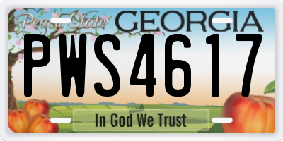 GA license plate PWS4617