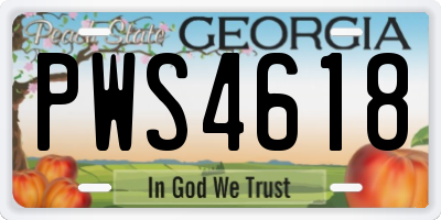GA license plate PWS4618