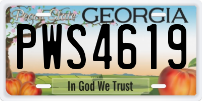 GA license plate PWS4619