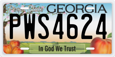 GA license plate PWS4624