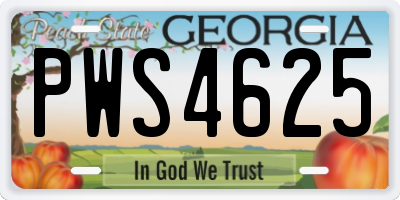 GA license plate PWS4625