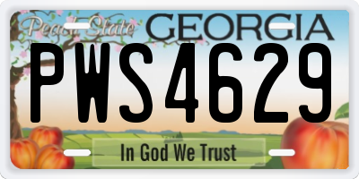 GA license plate PWS4629