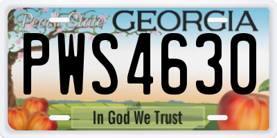 GA license plate PWS4630