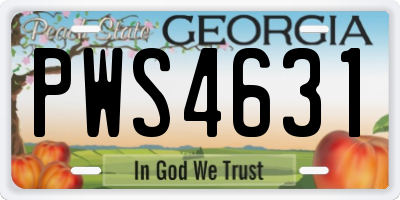 GA license plate PWS4631