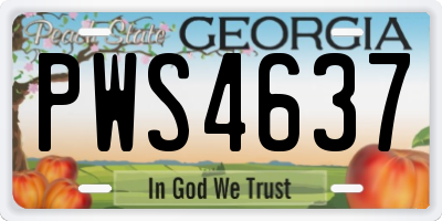 GA license plate PWS4637