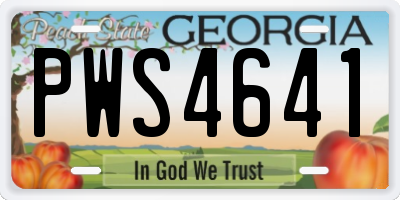 GA license plate PWS4641