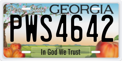 GA license plate PWS4642
