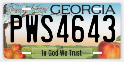 GA license plate PWS4643