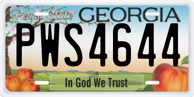 GA license plate PWS4644