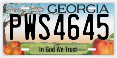 GA license plate PWS4645