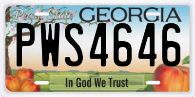 GA license plate PWS4646