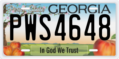 GA license plate PWS4648