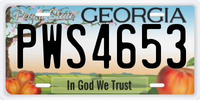 GA license plate PWS4653