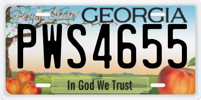 GA license plate PWS4655