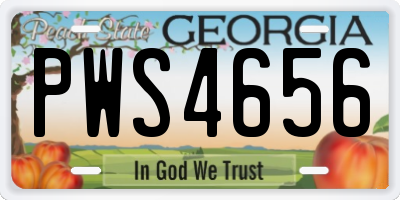 GA license plate PWS4656