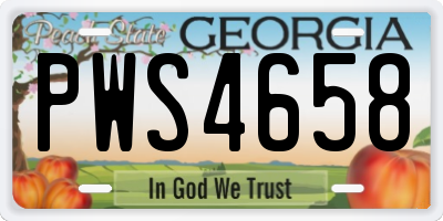 GA license plate PWS4658