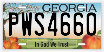 GA license plate PWS4660
