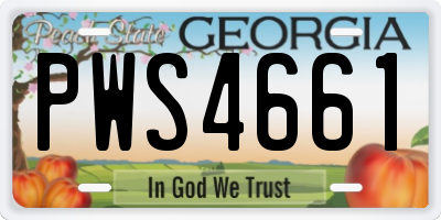 GA license plate PWS4661