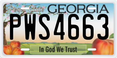 GA license plate PWS4663