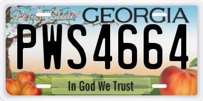 GA license plate PWS4664