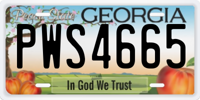 GA license plate PWS4665