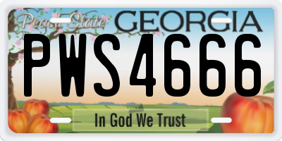 GA license plate PWS4666