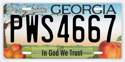 GA license plate PWS4667