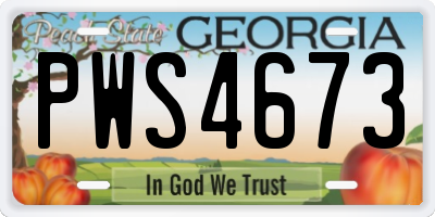 GA license plate PWS4673