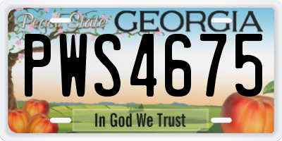 GA license plate PWS4675