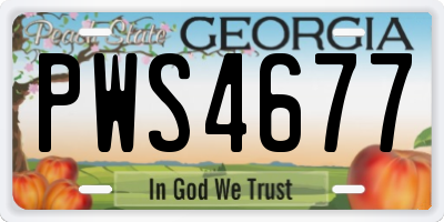 GA license plate PWS4677
