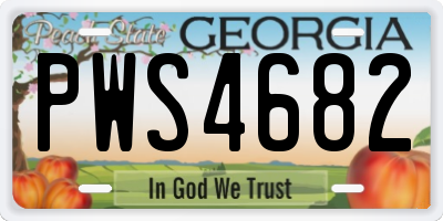 GA license plate PWS4682