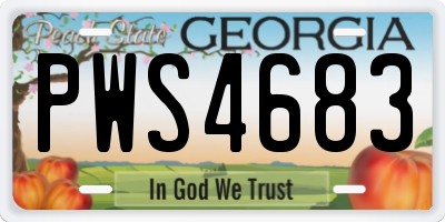 GA license plate PWS4683