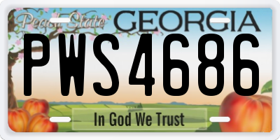 GA license plate PWS4686