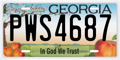 GA license plate PWS4687