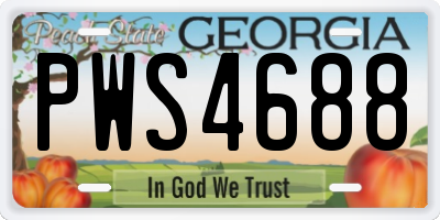 GA license plate PWS4688
